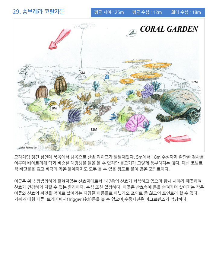 Club MIR Beach Resort, Anilao, philippine - CORAL GARDEN