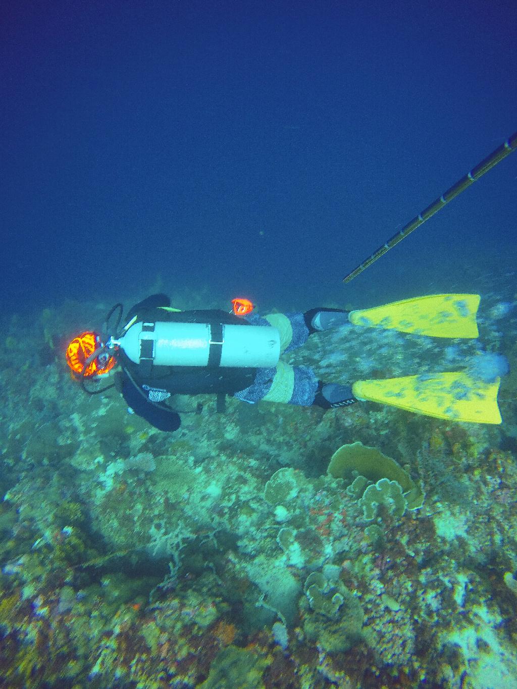 Mactan, Philippines - Coral Reef