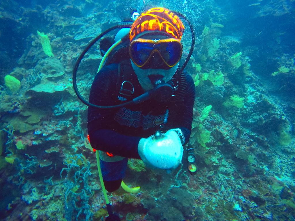 Mactan, Philippines - Coral Reef