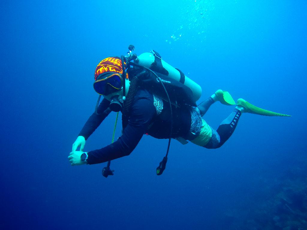 Mactan, Philippines - Coral Reef