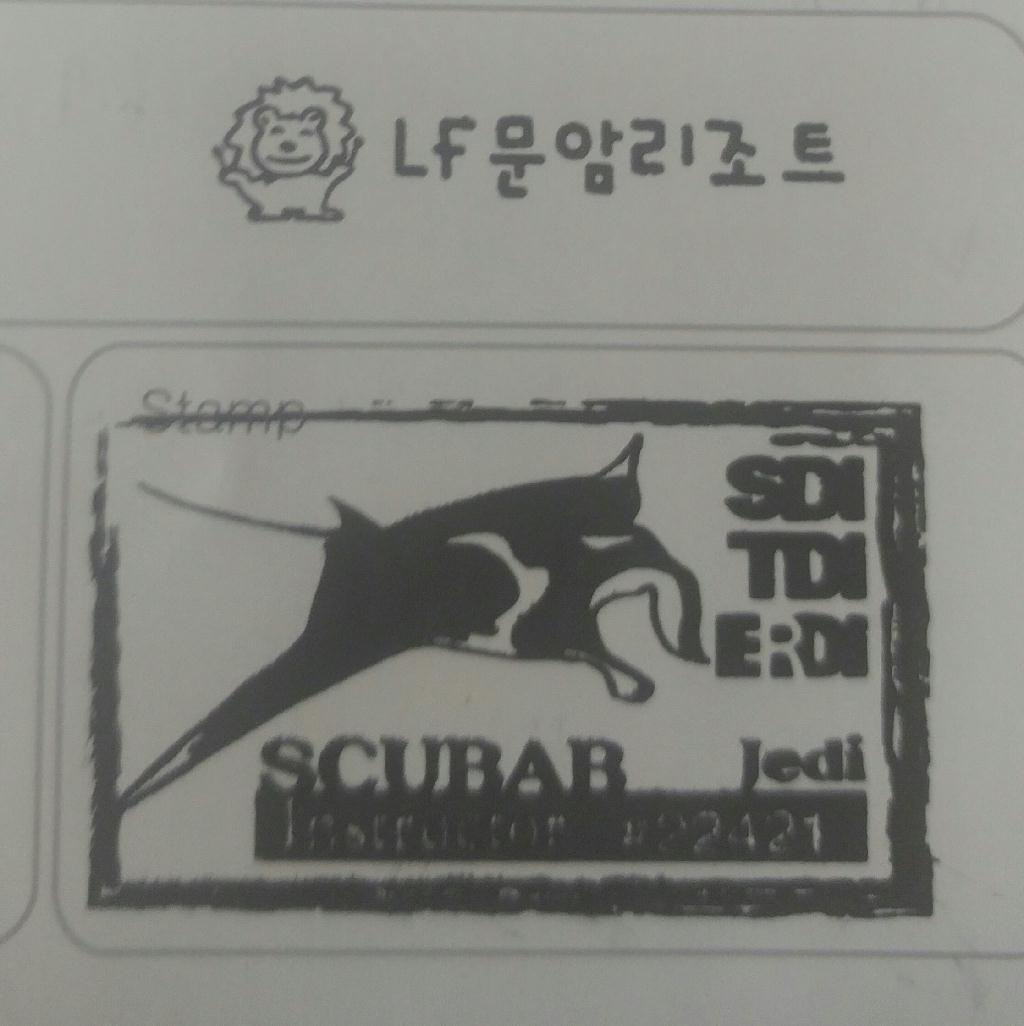 첫 보트 다이빙 - LF문암리조트 - 명파