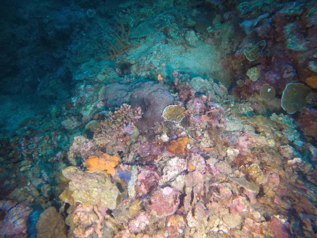 리그포케이브 - 몬테칼로리조트 Montecalo resort - 리그포케이브