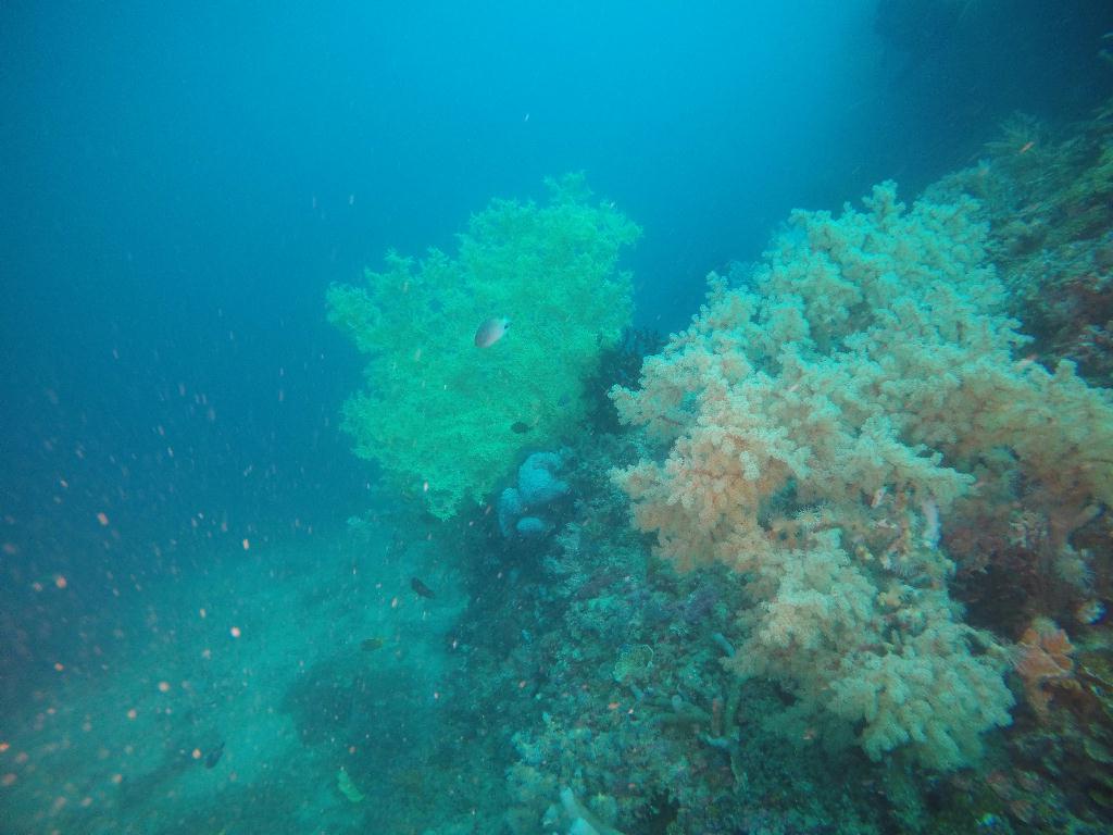 다이브엔트랙 - 몬테칼로리조트 Montecalo resort - 다이브엔트랙