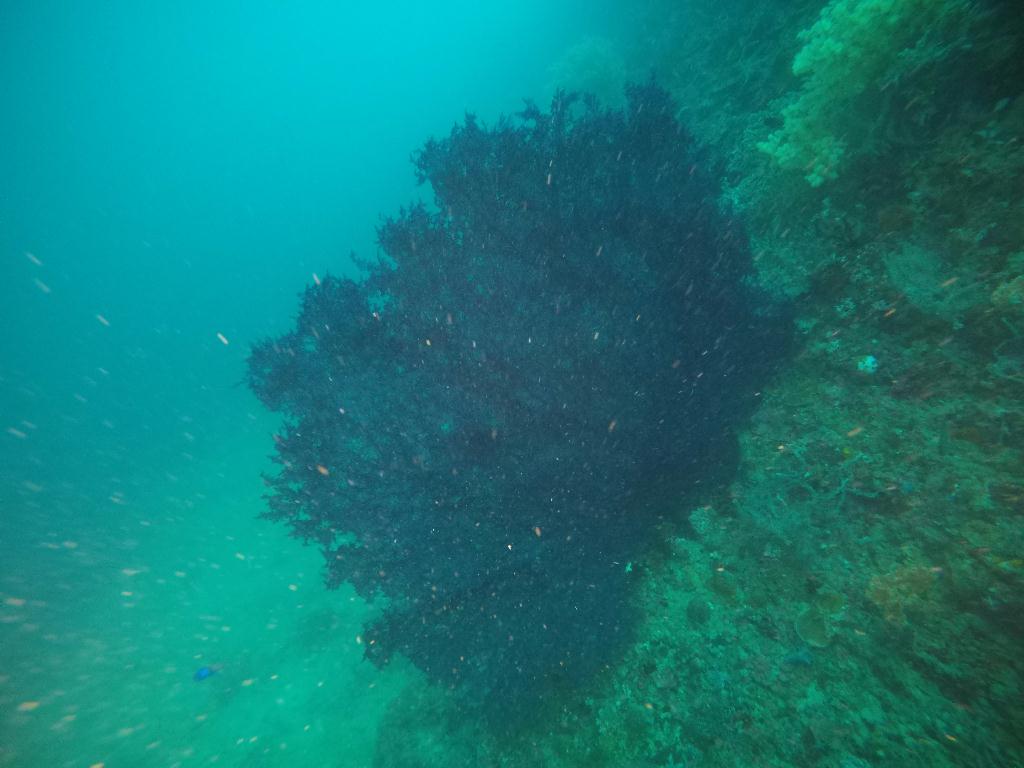 리그포케이브 - 몬테칼로리조트 Montecalo resort - 리그포케이브