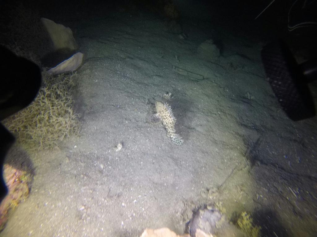 커비스락 포인트  - 몬테칼로리조트 - 커비스락 포인트