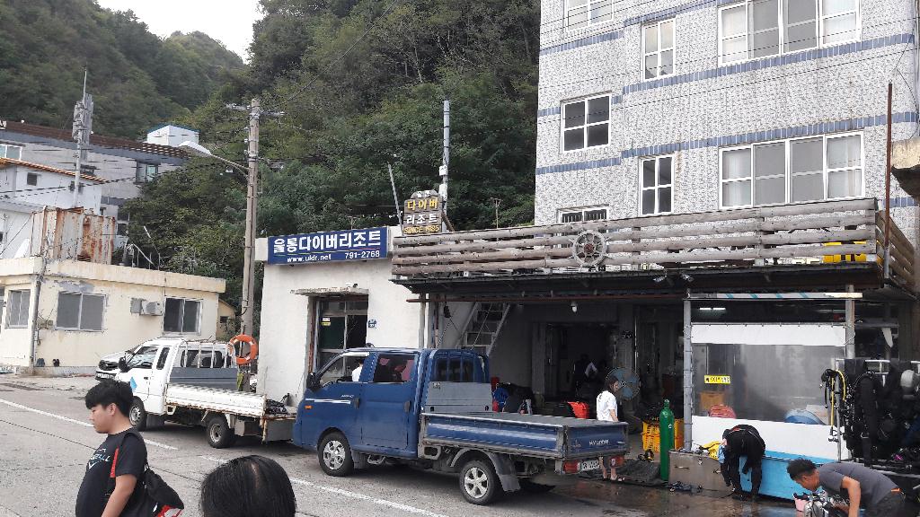 울릉다이버리조트 - 거북바위