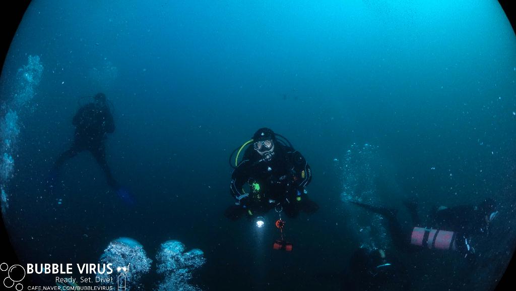 펀다이빙 - 고성 봉포리조트 - 방어대