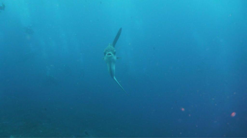 Indonesia, Bali, Nusa penida - Crystal Bay