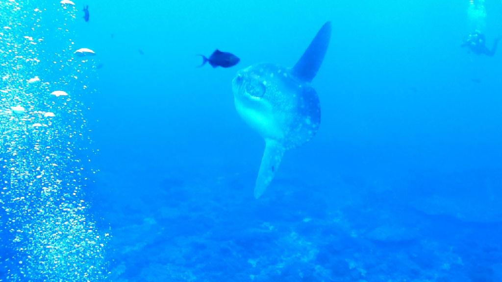 Indonesia, Bali, Nusa penida - Crystal Bay