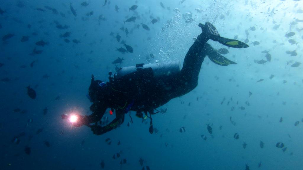 馬爾代夫 BAA - DHONFANU THILA