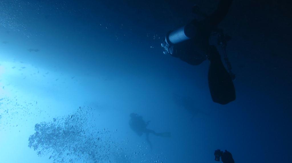 Check dive - 馬爾代夫 NORTH MALE - FEYDHOO FARU