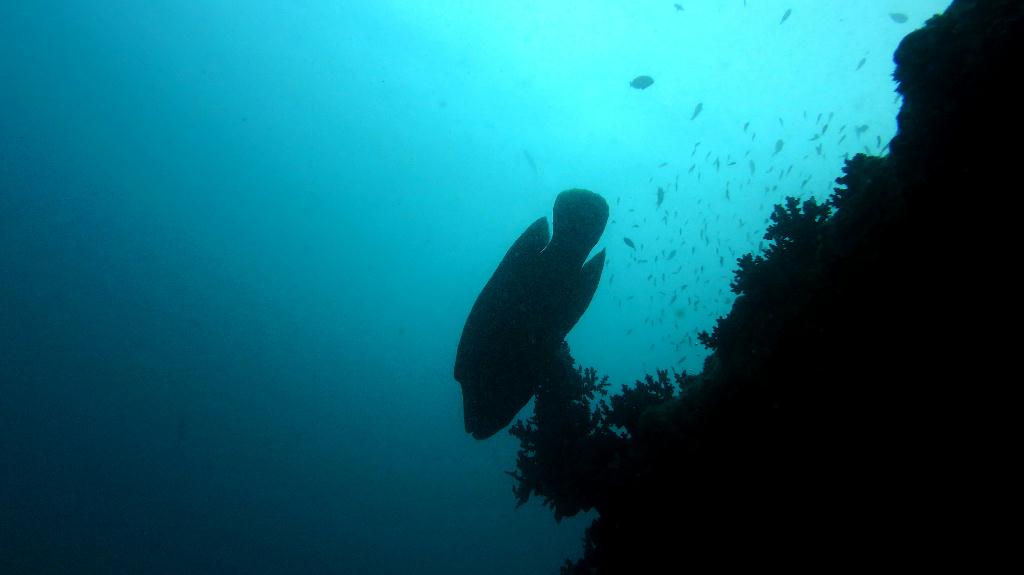 馬爾代夫 BAA - DHONFANU THILA