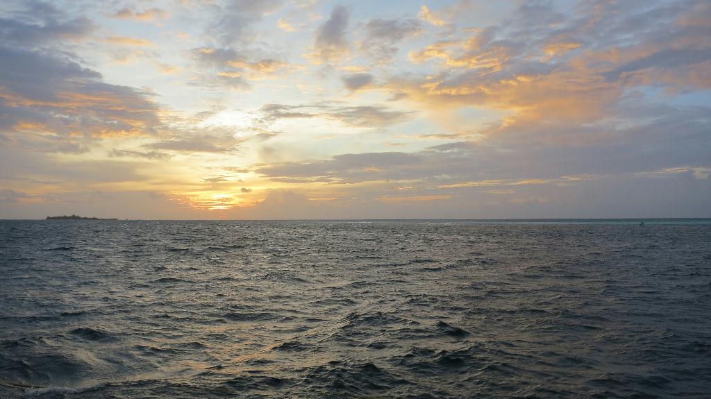 Night Dive - 馬爾代夫 NORTH ARI - MAAYA THILA