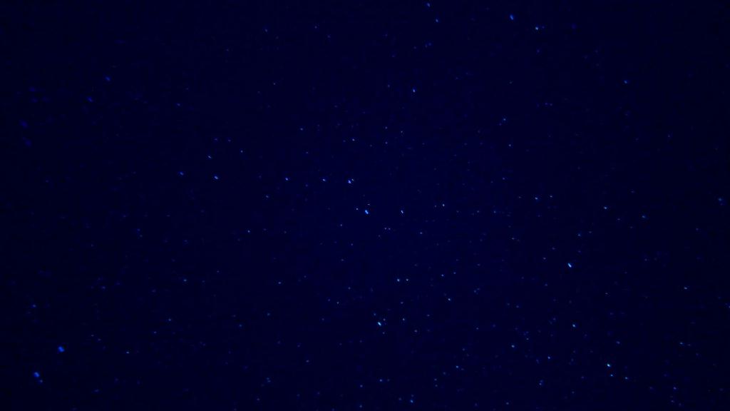 睇唔到鎚頭鯊? - 馬爾代夫 NORTH ARI - RASDHOO MADIVARU (BLUE)
