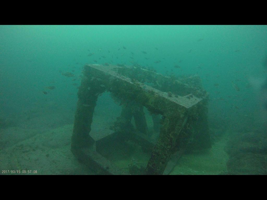 인공어초에서 치어들을 보다 - 양양 파라다이스다이브리조트 - 터널 어초