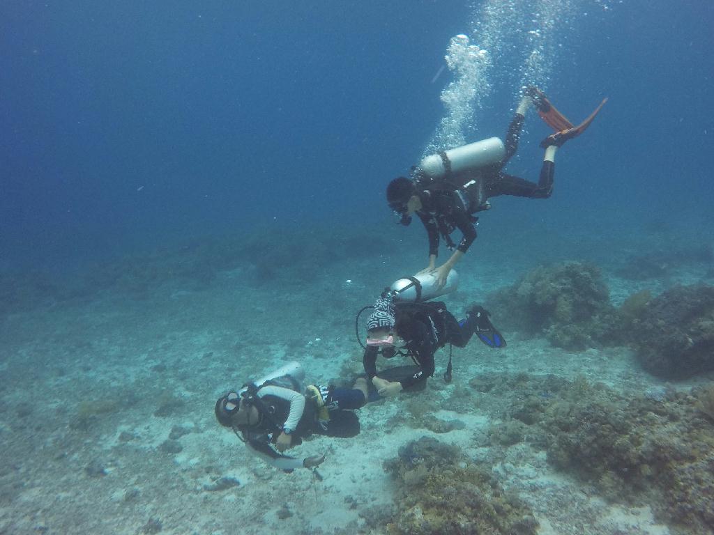fundive - Malapascua Philippines  - Calangaman Island 