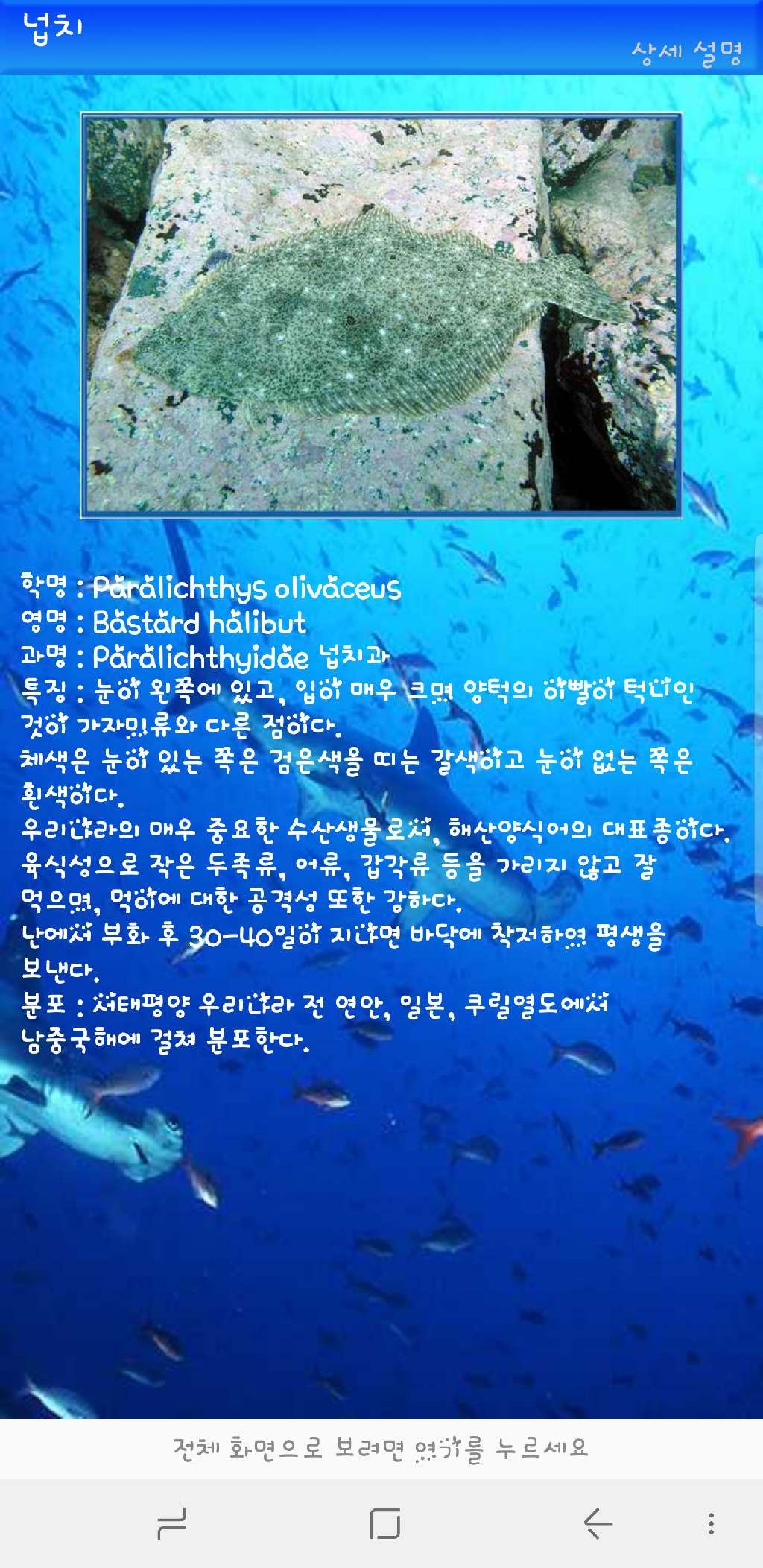 나이트 - 레이떼 day1-3