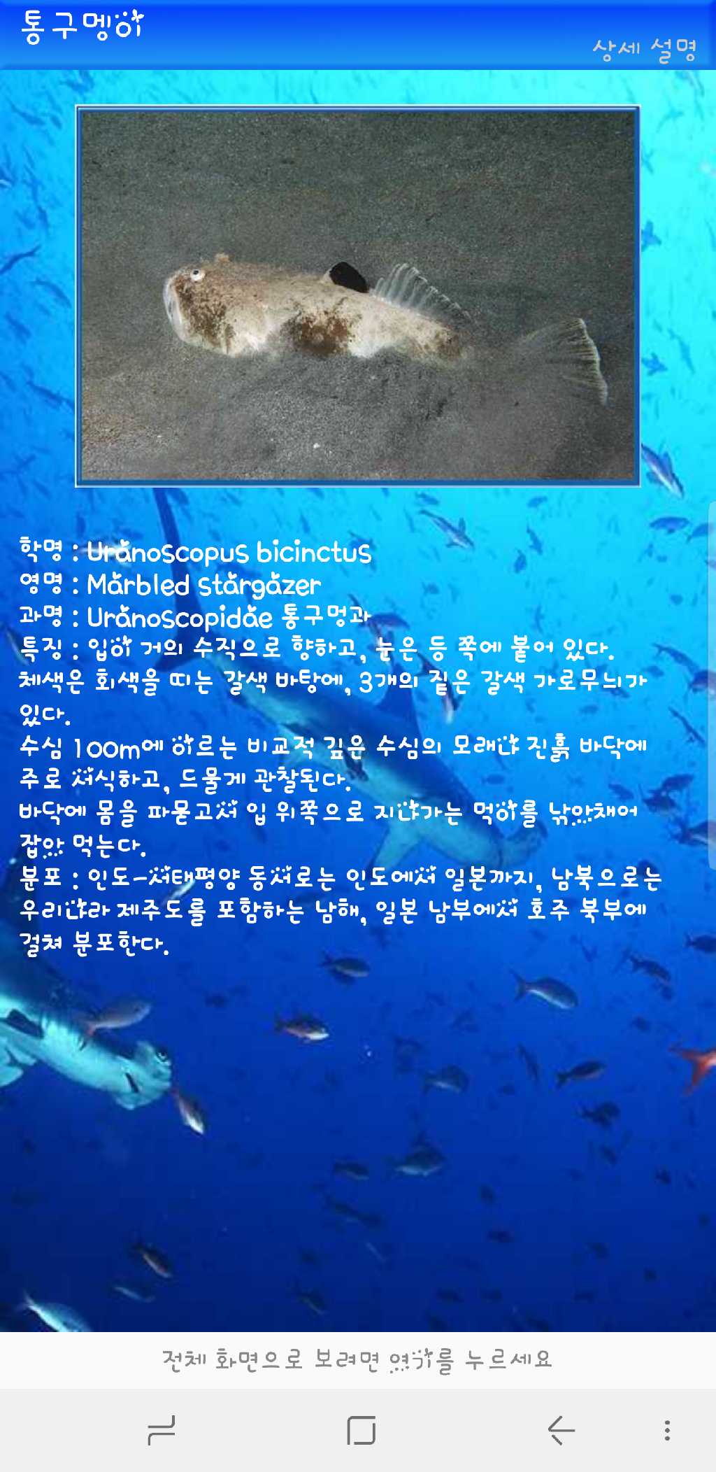 나이트 - 레이떼 day1-3