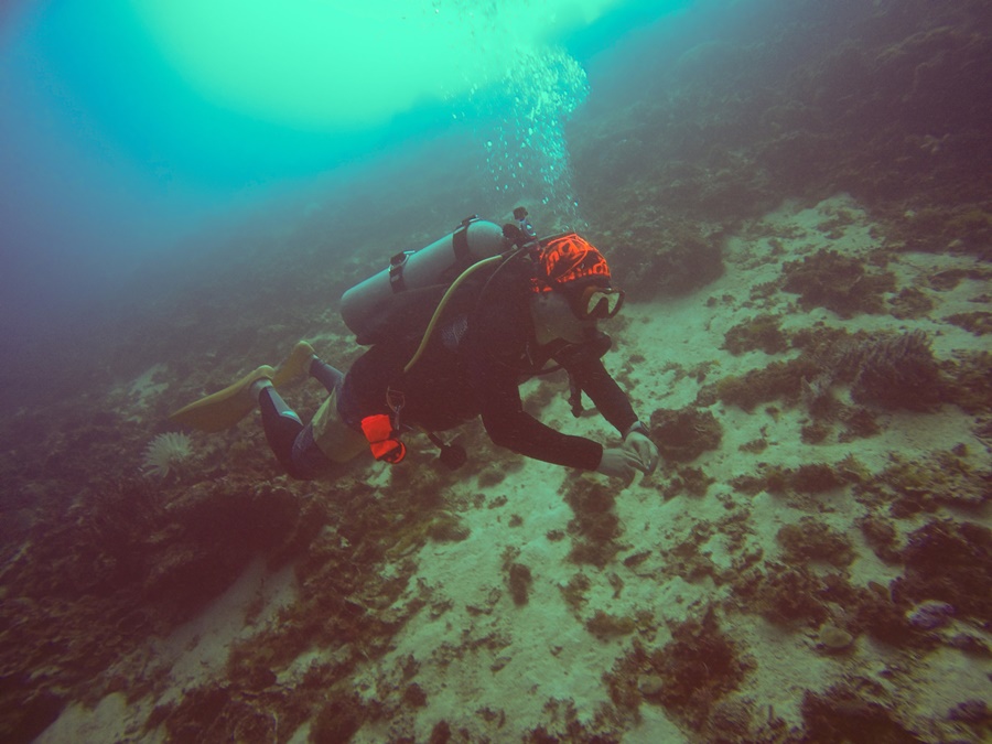 Mactan, Philippines - TAMBULI Airplane Wreck