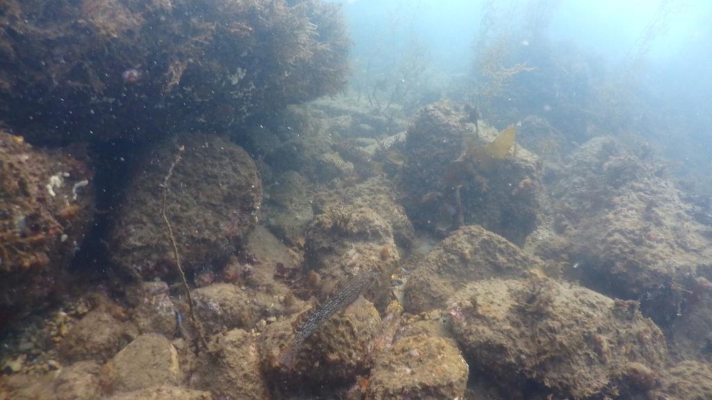 태종대 해양스포츠교실 - 감지해변