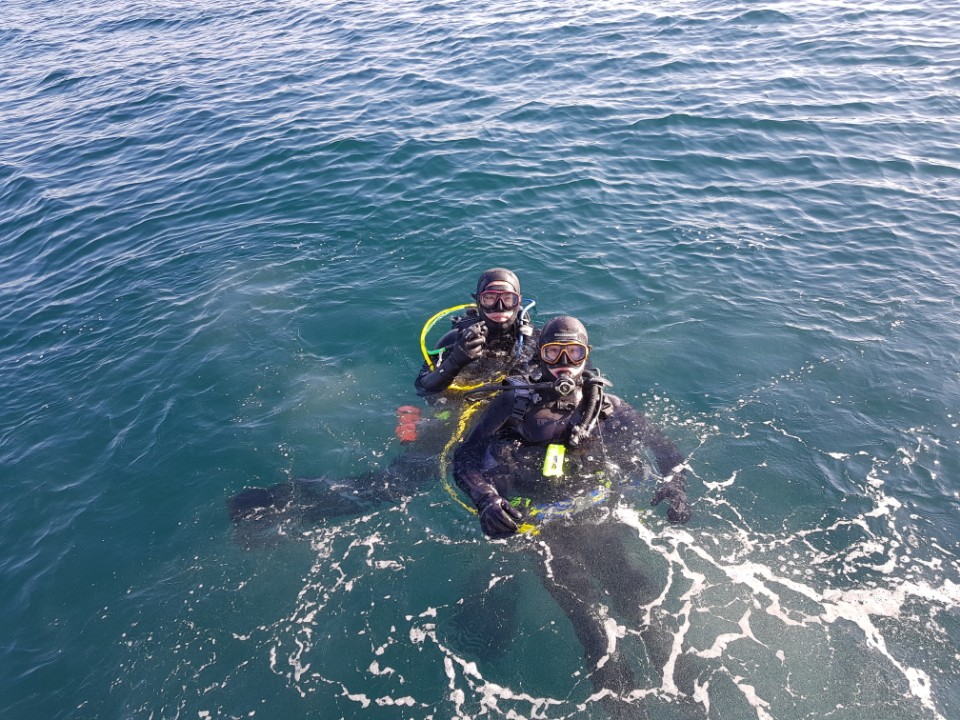 아라스쿠버클럽 