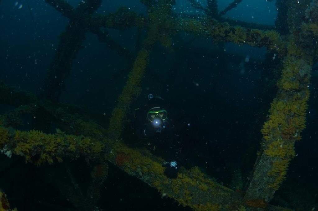 청진 다이브11 - 24미터어초