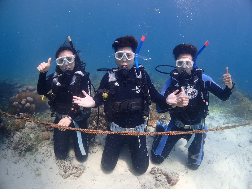 오픈워터 해양실습 1 - 세부 막탄 - 플랜테이션 베이