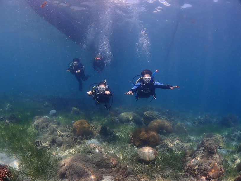 오픈 워터 해양실습 2 - 세부 막탄 - 플랜테이션 베이