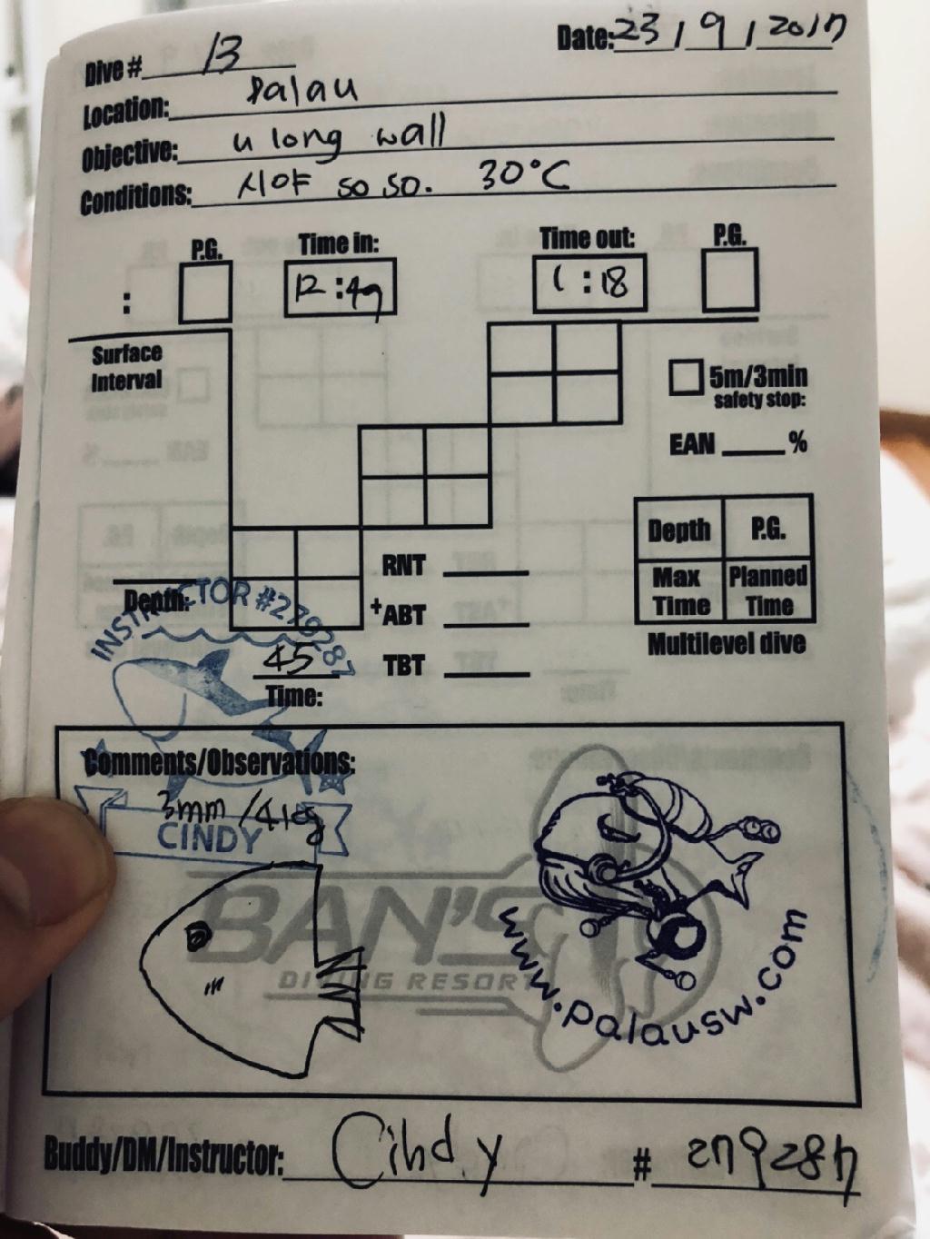 팔라우