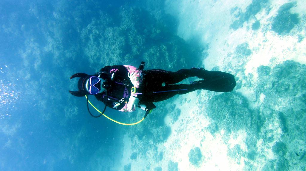 Bohol - Arco point