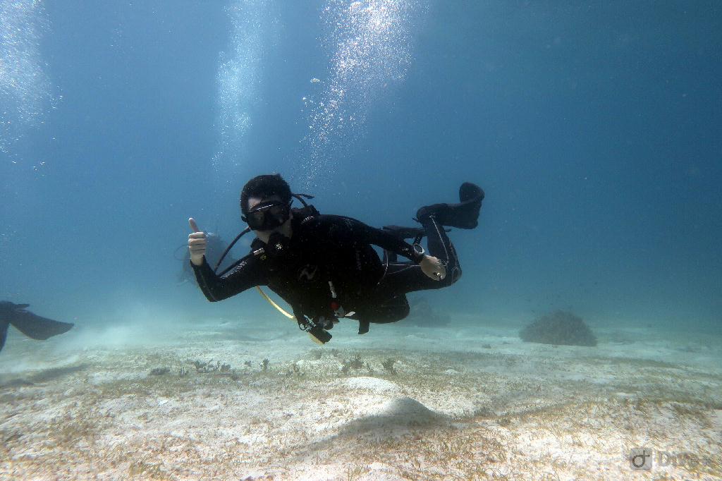 balicasag fun dive - balicasag，菲律宾薄荷岛 - black forest,bohol