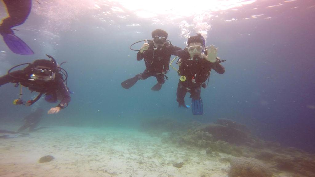 跟学习ow课程的朋友fun dive - house reef，薄荷岛 - house reef,bohol