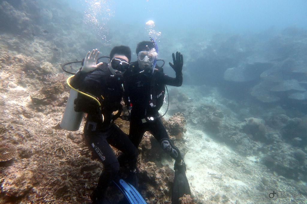 fun dive - bohol,菲律宾 - kalipayan,panglao