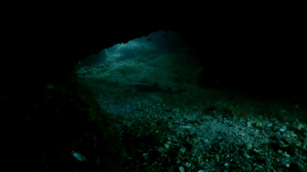 Gato Island Cave - Malapascua Johan Dive - Gato Island Cave