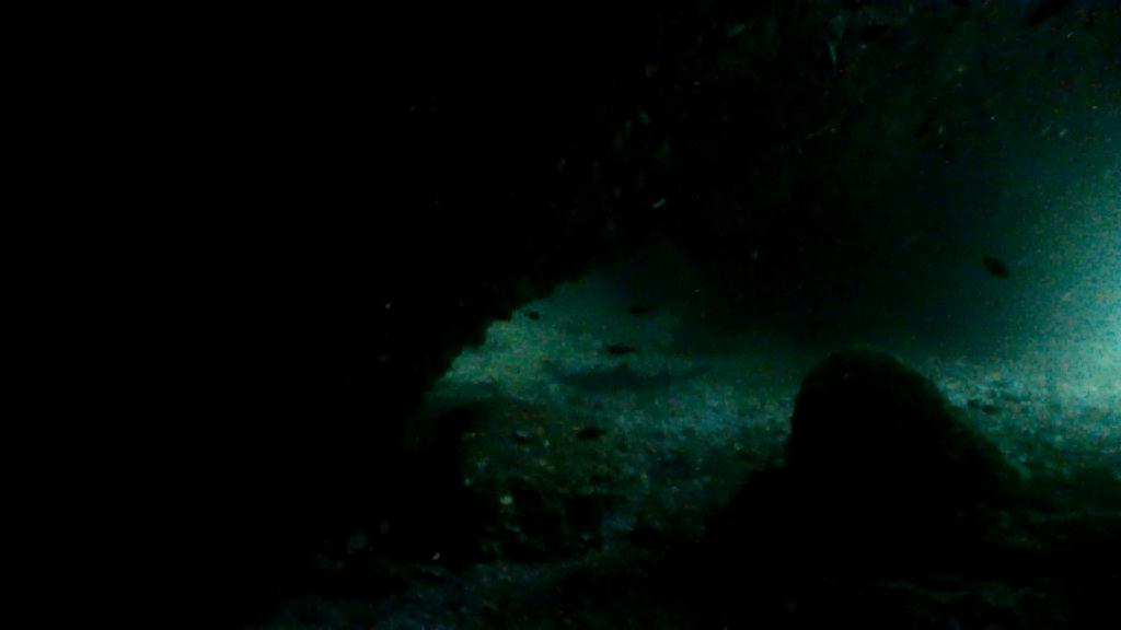 Gato Island Cave - Malapascua Johan Dive - Gato Island Cave