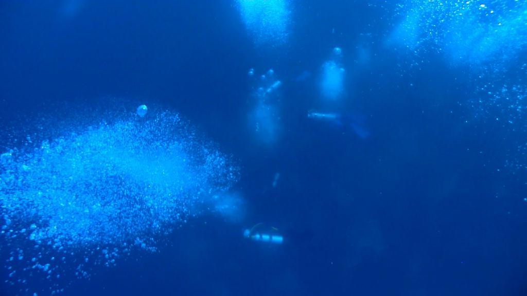 Manta 보러... - Malapascua Johan Dive - Monad Shoal Manta P.