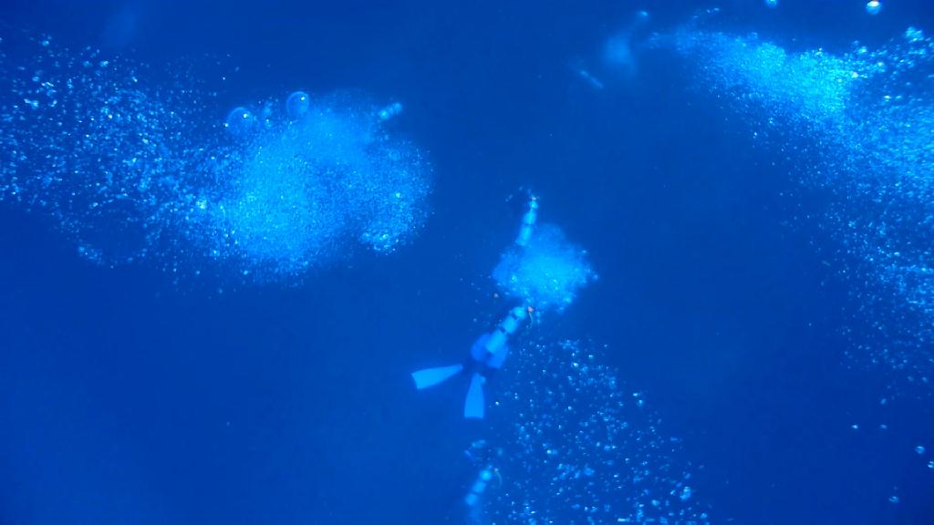 Manta 보러... - Malapascua Johan Dive - Monad Shoal Manta P.