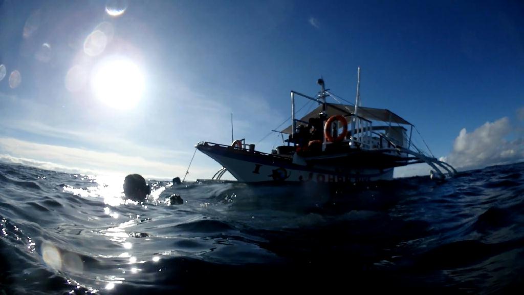 Manta 보러... - Malapascua Johan Dive - Monad Shoal Manta P.