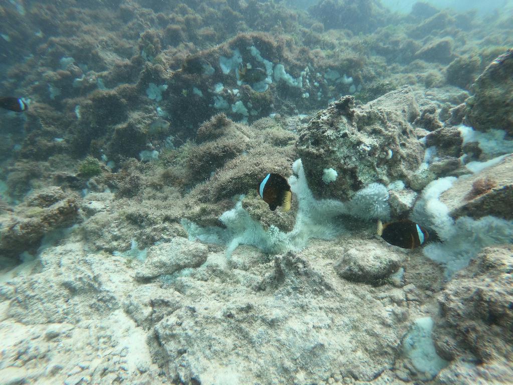 MDA 새로운 스팟 탐험 - Apra harbor port - MDA