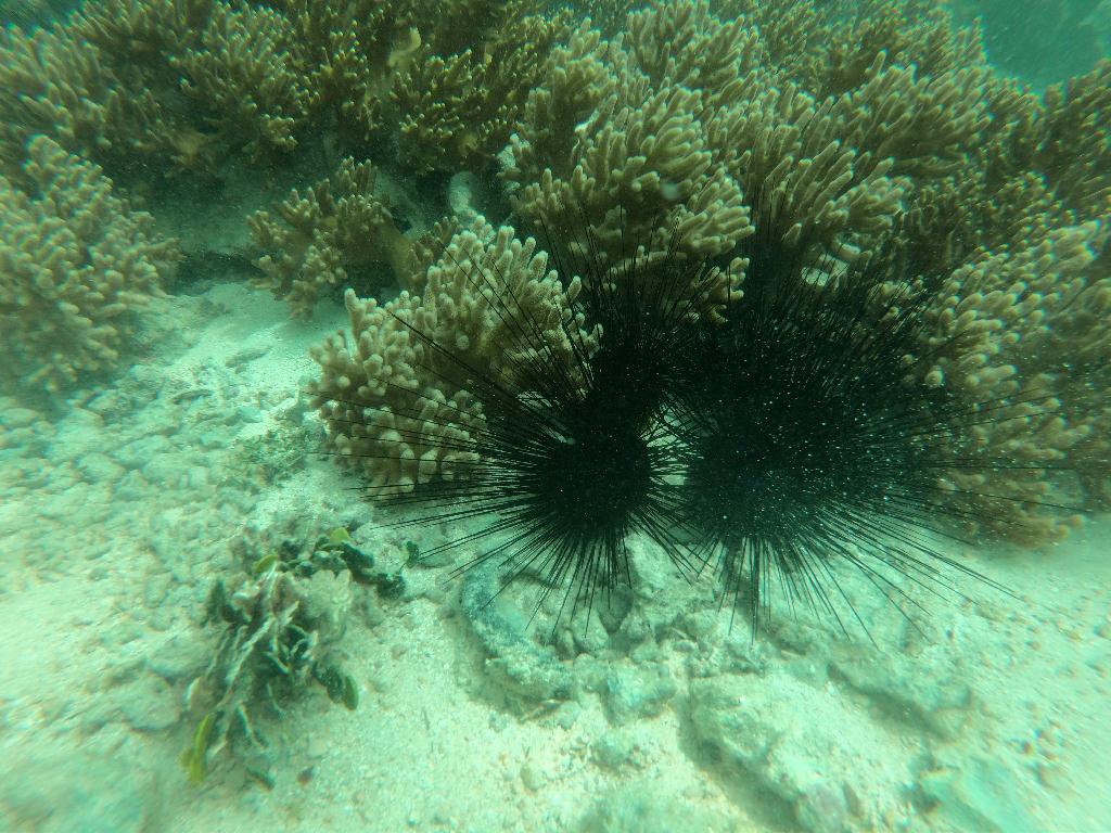 MDA 새로운 스팟 탐험 - Apra harbor port - MDA