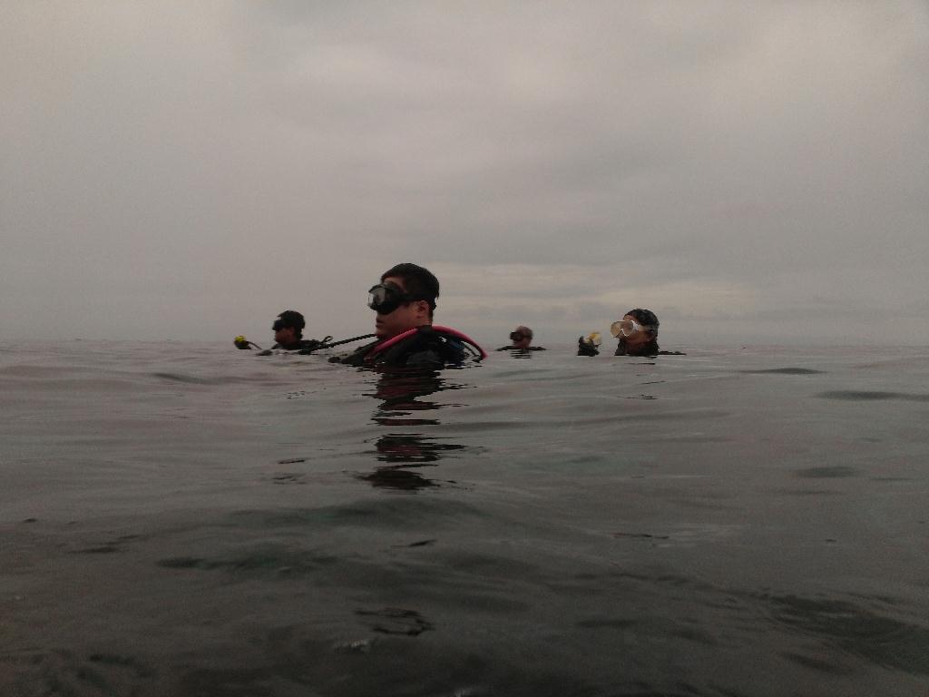 2차 체크 다이빙 - 보홀 팡글라오 - 비비시(bbc)