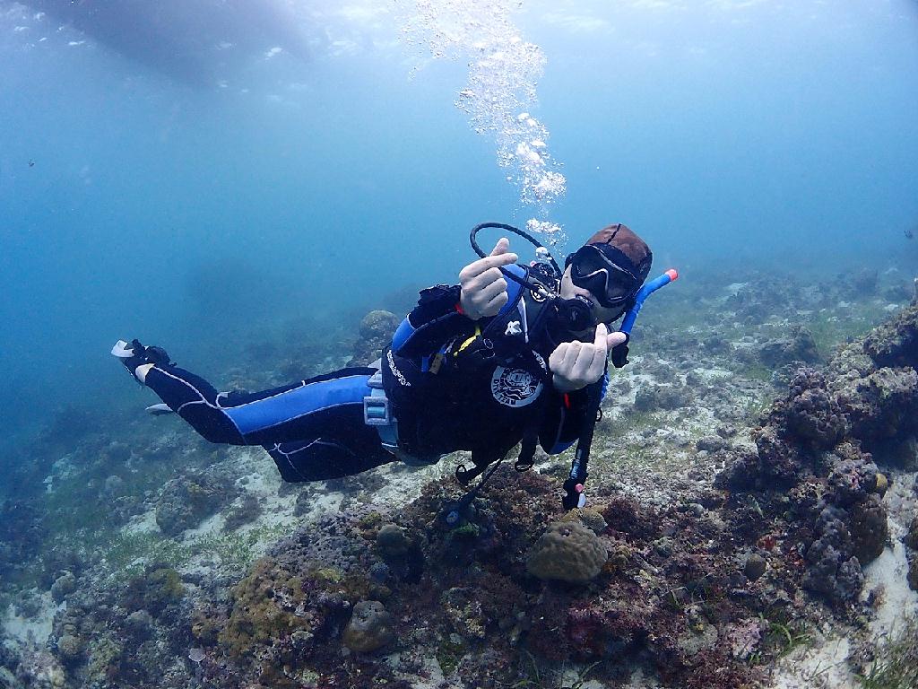 오픈워터4 - 세부 막탄 - 오션플레이 하우스리프