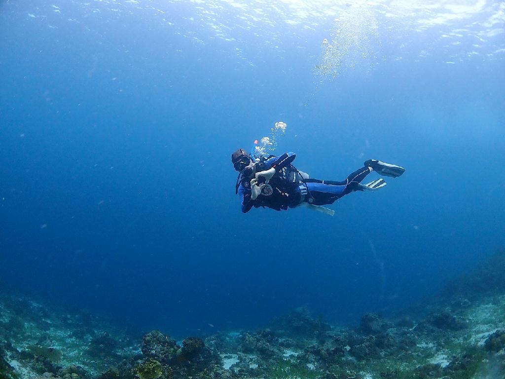 오픈워터4 - 세부 막탄 - 오션플레이 하우스리프