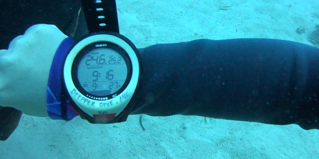 디퍼다이브 우노강사님 - 필리핀 보홀 팡라오 - MISO