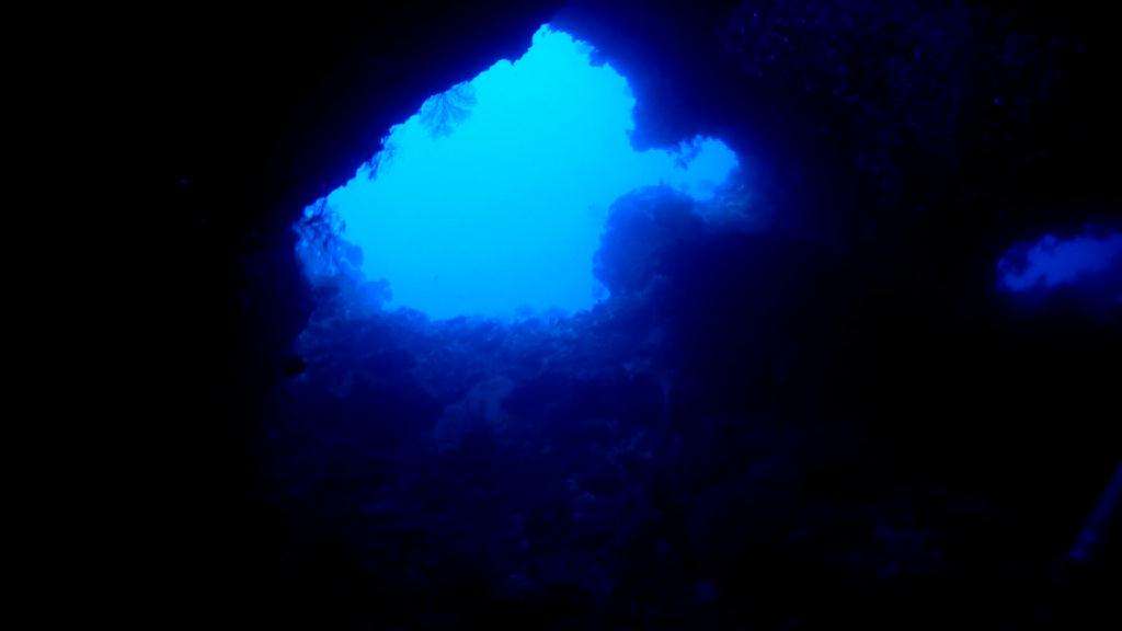 딮 다이빙의 정석 - PALAU Blue corner Hotel - Siaes Tunnel