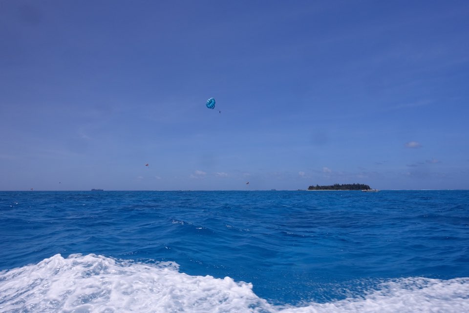 체크다이빙 - 사이판 프로다이버스 - 라우라우