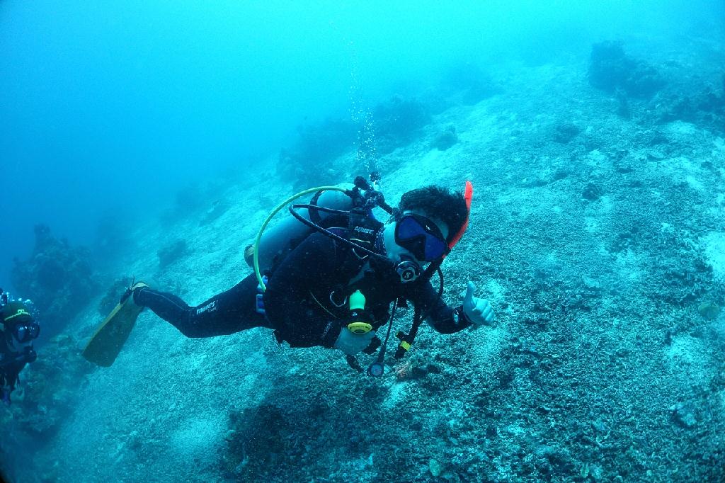 펀다이빙 - 필리핀세부 오션플레이 - 난룽수안