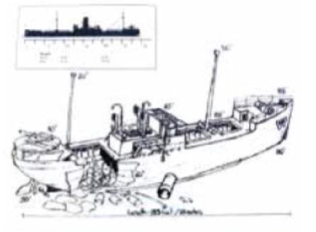 펀다이빙 - 팔라우 - Helmet Werck