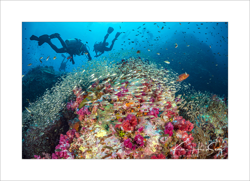 Similan Island, Thailand - Richelieu Rock