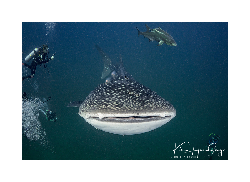 Similan Island, Thailand - Boonsung Wreck